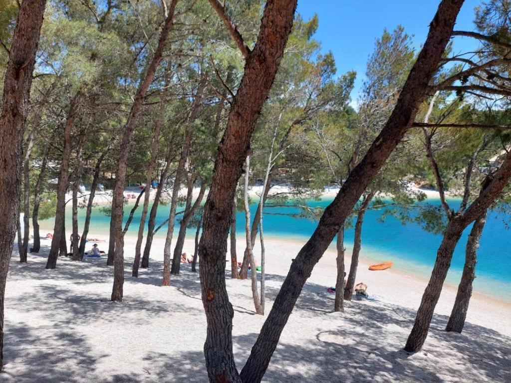Luxury Mobile Home Pretty Green - Premium - Oaza Mira Resort -50 M From The Beach Драге Экстерьер фото
